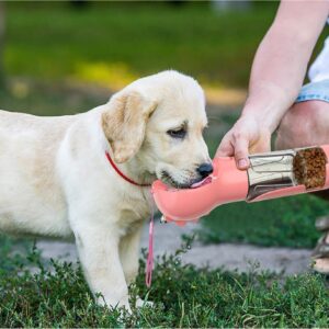 3-in-1 Portable Dog Travel Water Bottle