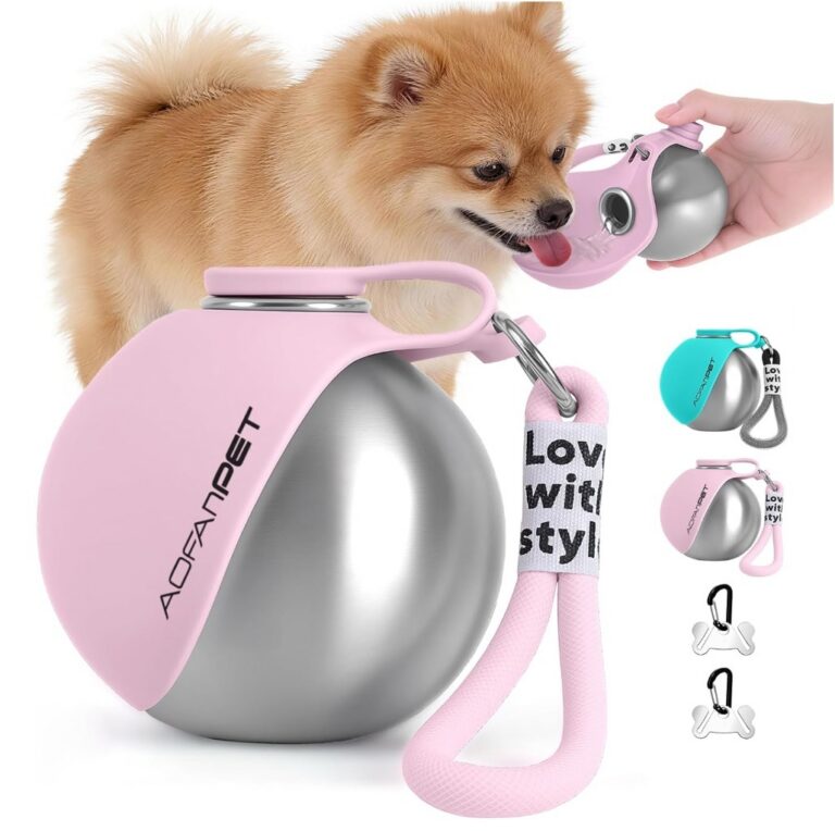 Essential Dog Products for Modern Pet Owners